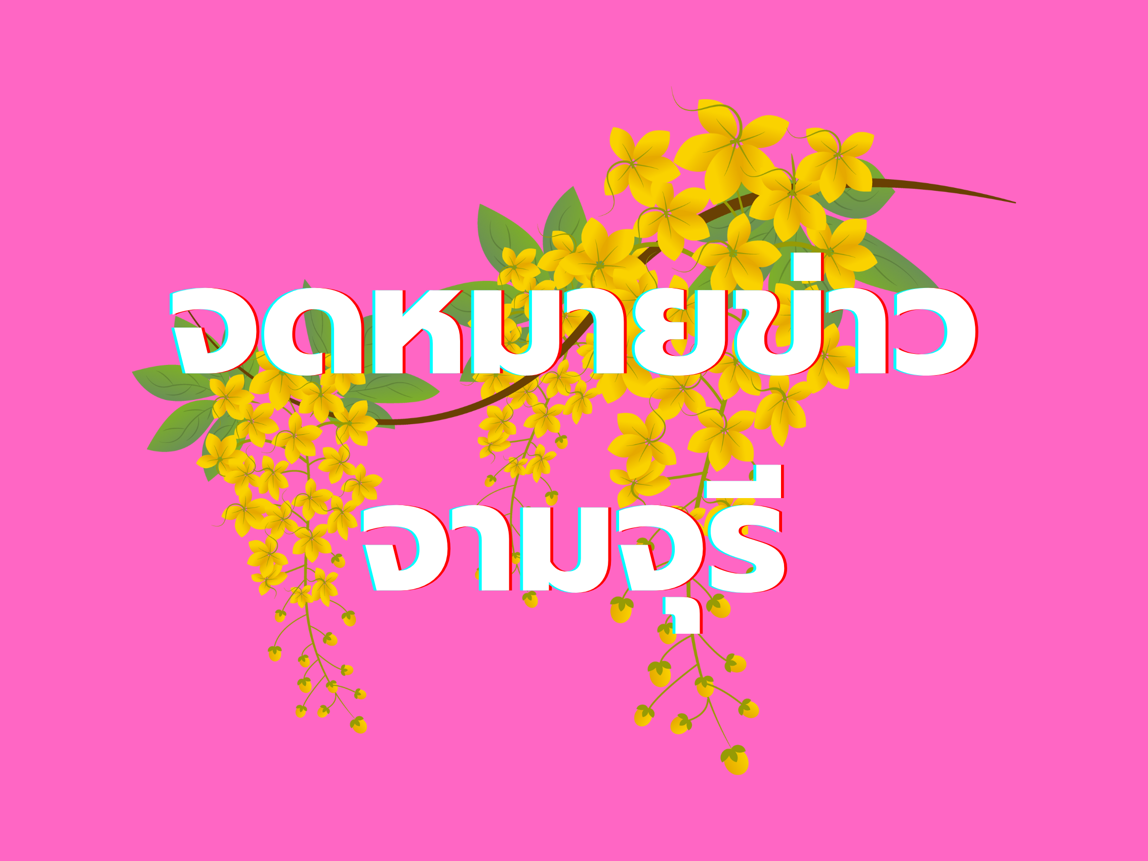 ศึกษาดูงาน ณ โรงเรียนชุมชนวัดขันเงิน อ.หลังสวน จ.ชุมพร